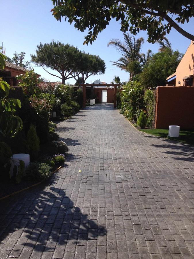 Estudio Para Pareja Con Jardincito Privado Barbaco Cádiz Exteriér fotografie